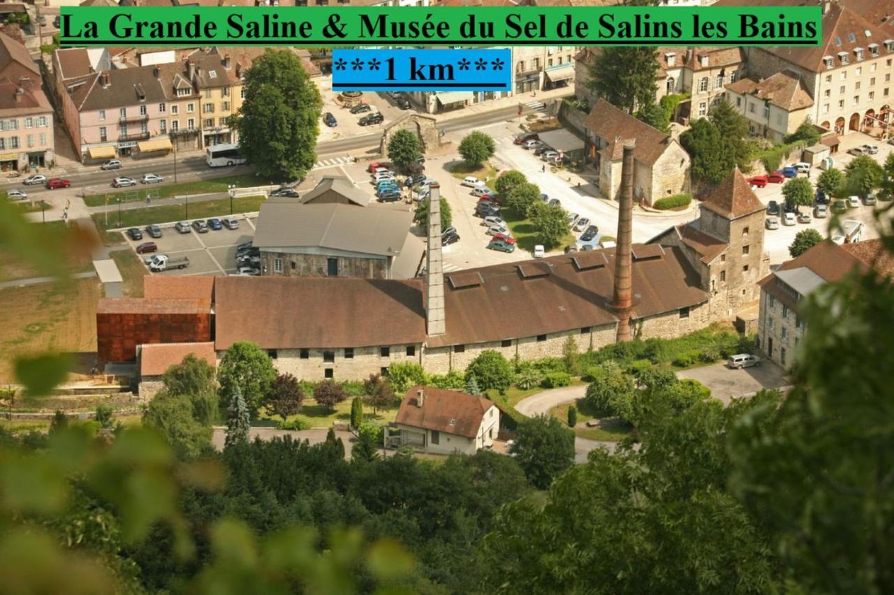 Appartement Cosy 36 Salins Les Bains Eksteriør billede